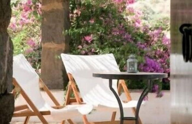 Santa Teresa Azienda Agricola - Photo 27