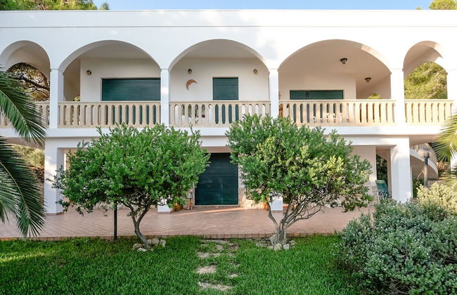 Villa Opunzie Torre Vado - Photo 45