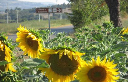 Holiday Home Near Lago di Chiusi With Pool - Foto 80