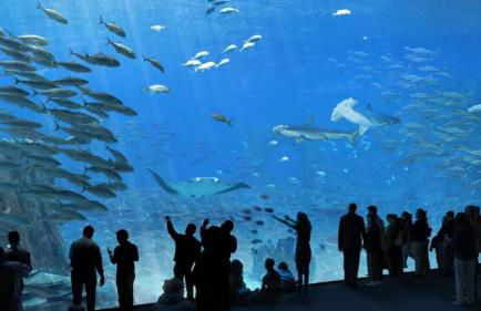 Appartement cosy centre de Wimereux proche plage - Foto 17