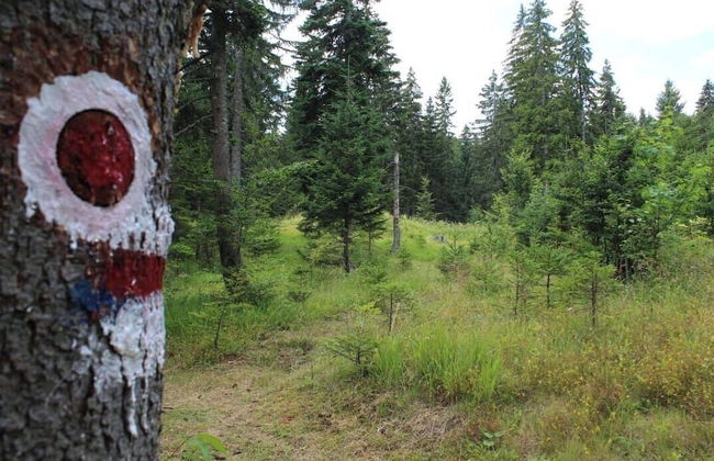 Casa di Pino EcoLodge Hotel - Photo 64