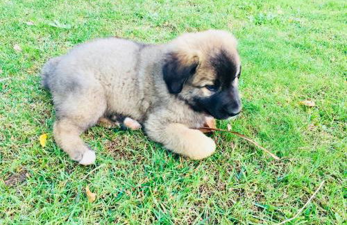 Casa da Ventozella - Photo 69