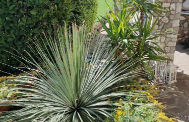 Delizioso Appartamento Locazione Turistica - Foto 6