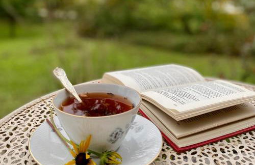 Casetta dipinta Fattoria dei fiori - Photo 55