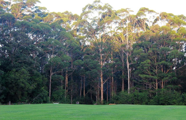 Tinglewood Cabins - Foto 1