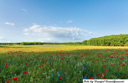 Studio apartman CENTAR - Foto 39
