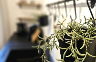 WieApart - Ruhig im Grünen, Parkplatz, zw. DUS/CGN - Foto 11