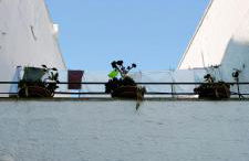 Rosso in Corte - Salento - Corte dei Colori - Foto 25