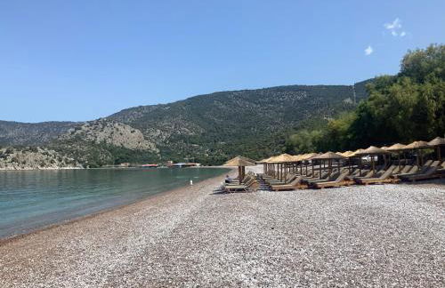 Georgia Psatha - Foto 37