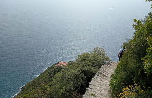 Orizzonte spezzino - Foto 42