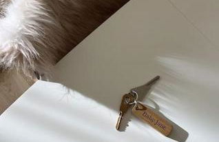 Baby Jane, Studio front de neige - Photo 26