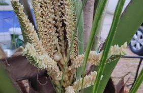 Lar doce lar - Foto 31