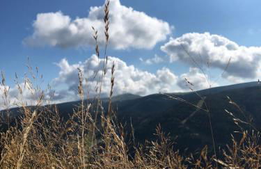 Chalet 10 pers sauna & SPA La tanière des Vosges - Foto 51