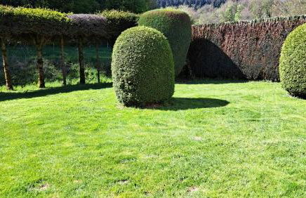 EL MIRADOR - Ferienwohnung Nähe Nürburgring - Eifel - Ahr - Rhein - RENOVIERT - Foto 25