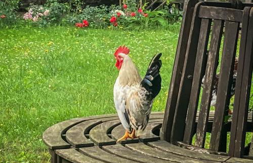 Villa Gärtnerhaus by Interhome - Foto 26