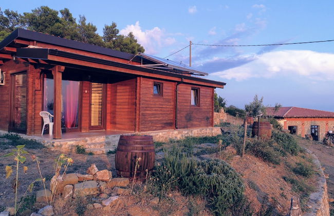 Agriturismo Pinelli - Foto 22