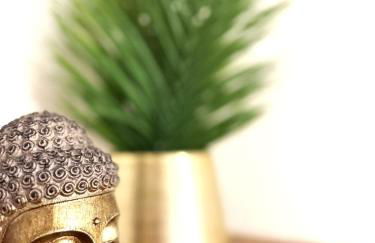 Natur-Apartment am Großen Arber Netflix WIFI - Foto 55