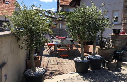 L'ESCALE SELESTADIENNE - Foto 15