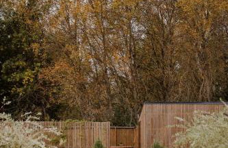 Zen Sasino - Foto 30