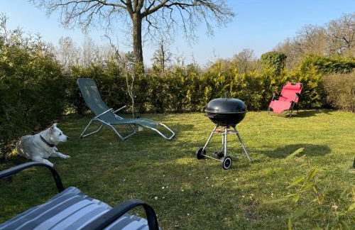 Ferienwohnung am See Dillich - Hunde willkommen - Eigener eingezäunter Garten - Ruhige Lage - Foto 20