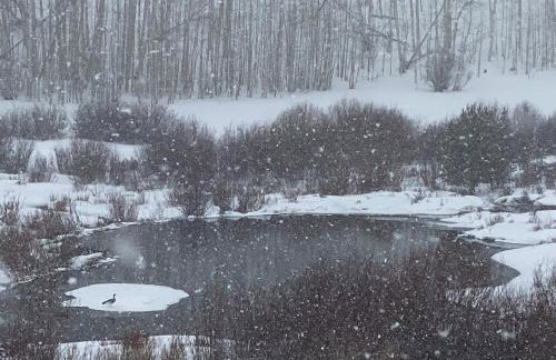 Wapiti Retreat at 22 West Cabins and Recreation - Foto 43