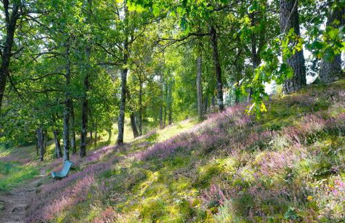 Beautifully located country house with heated pool - Foto 27