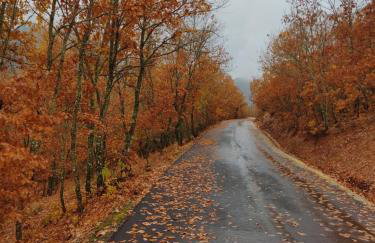 Kleitor Stone Villa-Peloponnese Getaway - Foto 73