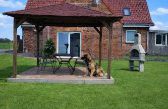 Familien- & haustierfreundliche Ferienwohnung mit Garten nahe Ostsee - Foto 1