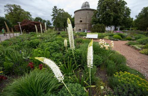 Ferienhaus-Pressler-Erfurt - Foto 21