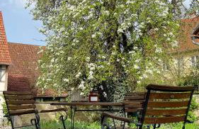 Baroque Half-Timbered House In Königsberg - Foto 26