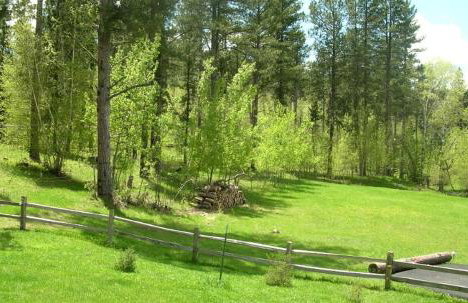 Gorgeous Private Cottage Rental in the Black Hills of South Dakota - Foto 16