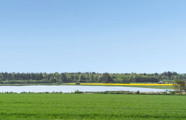 "Jügen" - 900m to the fjord - Foto 32