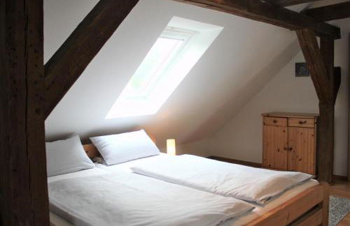 Sturmvogel - Photo 5