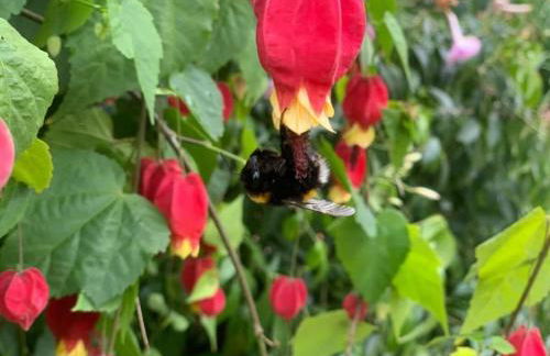 Holiday apartment with 2 bedrooms - Foto 23