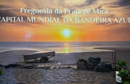 Forest Terrace Praia de Mira - Foto 61