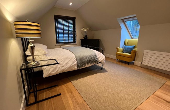 NEW 1BD Contemporary Home Upper Dunblane - Photo 2