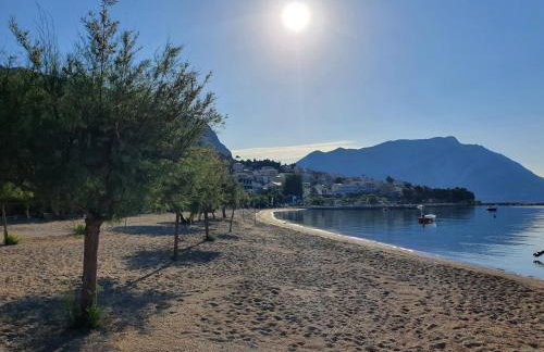 Angel wing apartmant - Foto 17