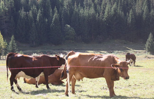 Luxury Flat With Sauna in the French Alps - Foto 23