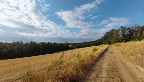 La P'tite Créole - Foto 2