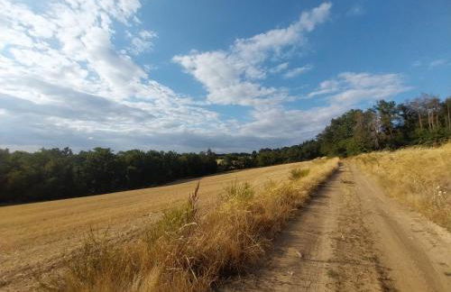 La P'tite Créole - Foto 2