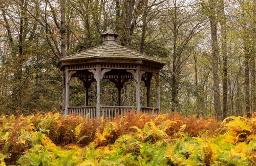 Private Chalet with Fire Pit Deck and Large Yard - Foto 43