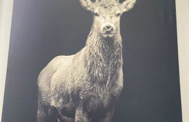 la Porte aux Dames - Foto 21