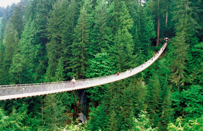 Capilano Suspension Bridge Park Tickets - Photo 6