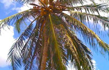 Eco Vila frente al mar - Foto 19