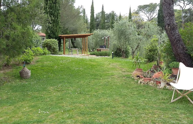 Podere San Quirico - Foto 39