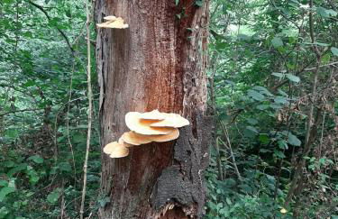 Casa Rural Haitzetxea - Foto 69