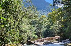 Casa das Araucárias - Sítio Salamandra, Vale do Matutu - Foto 25
