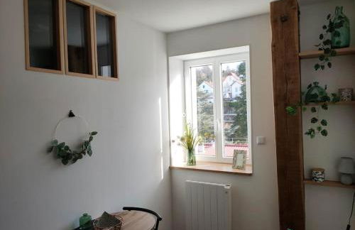 Superbe T2 neuf dans maison de maitre hyper centre - Foto 6