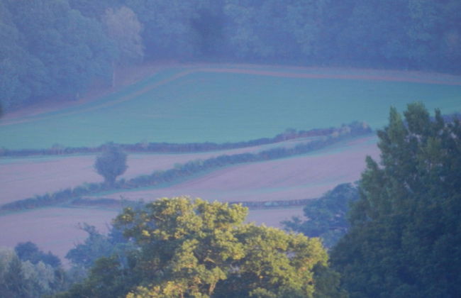 Cosy 5m Bell Tent Glamping in Rural Herefordshire - Foto 23