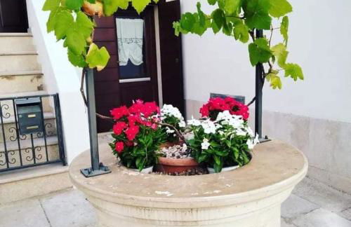 Il Riparo Via Molino 5 - Foto 29